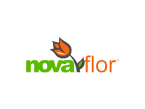 Nova Flor